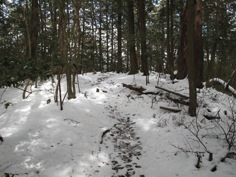 20140211hike (42)